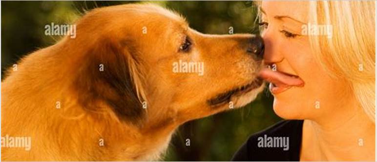 Kissing dog with tongue